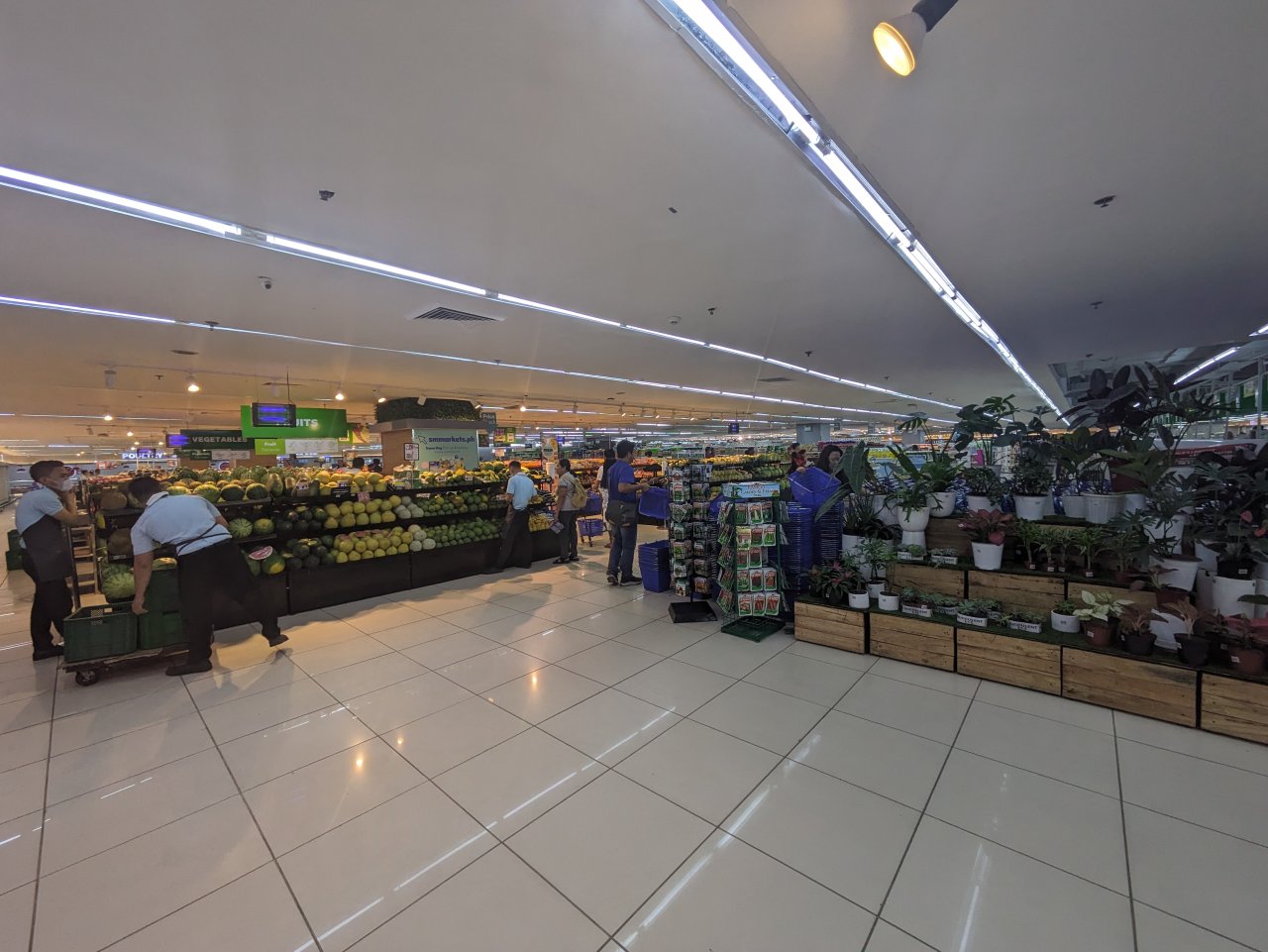 フィリピン留学 Cebu21 - Curious World Academy-SM City Cebu-22